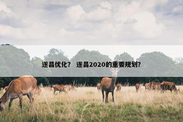 遂昌优化？ 遂昌2020的重要规划？