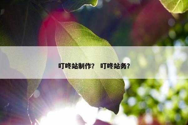 叮咚站制作？ 叮咚站务？
