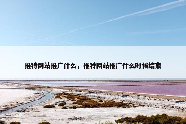 推特网站推广什么，推特网站推广什么时候结束