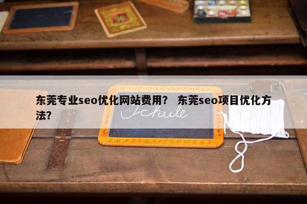 东莞专业seo优化网站费用？ 东莞seo项目优化方法？