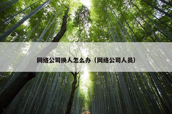 网络公司换人怎么办（网络公司人员）