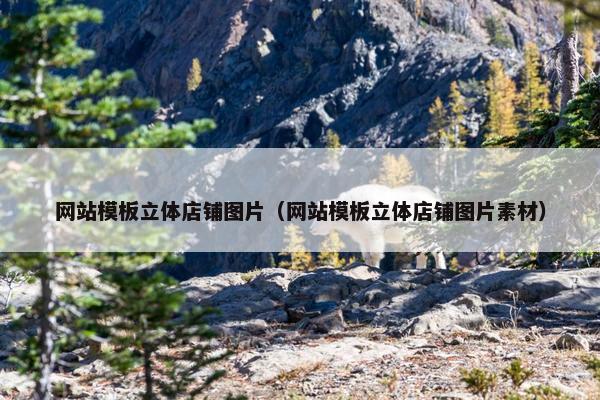 网站模板立体店铺图片（网站模板立体店铺图片素材）