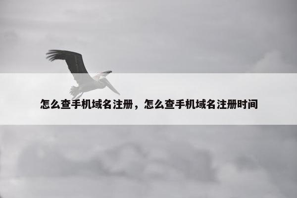 怎么查手机域名注册，怎么查手机域名注册时间