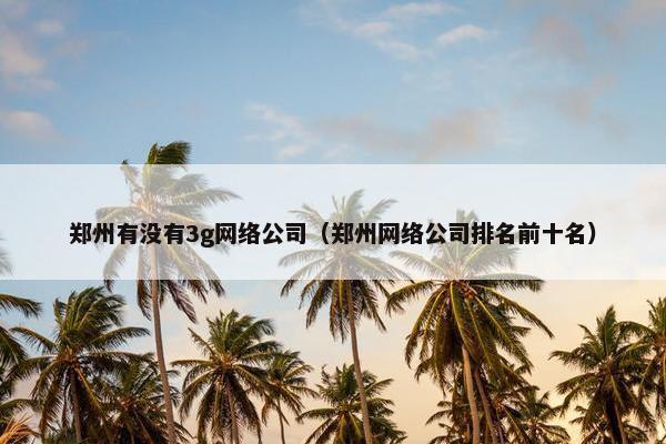 郑州有没有3g网络公司（郑州网络公司排名前十名）