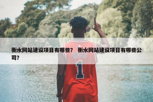 衡水网站建设项目有哪些？ 衡水网站建设项目有哪些公司？