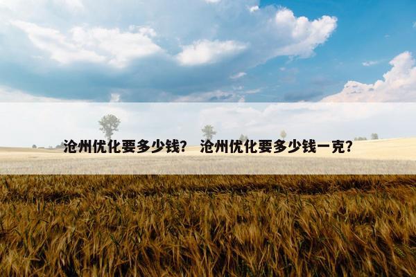 沧州优化要多少钱？ 沧州优化要多少钱一克？