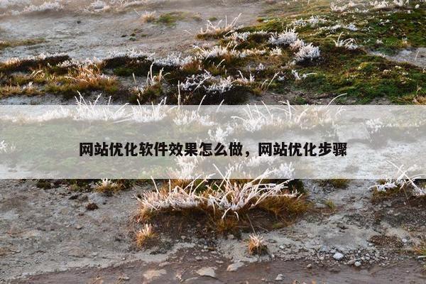 网站优化软件效果怎么做，网站优化步骤