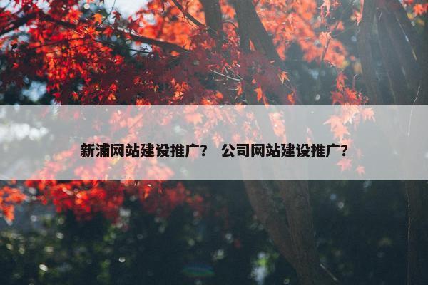 新浦网站建设推广？ 公司网站建设推广？