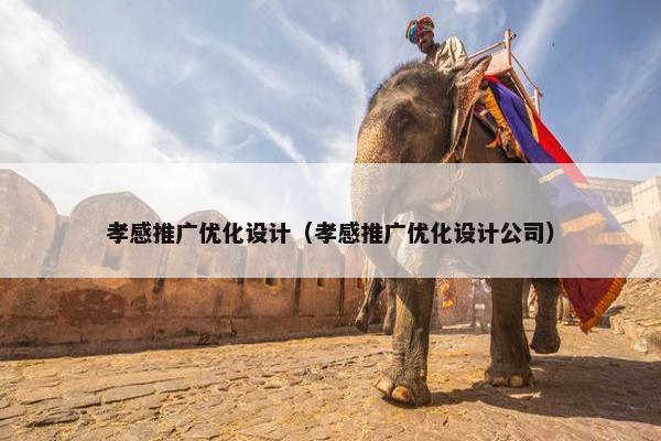 孝感推广优化设计（孝感推广优化设计公司）