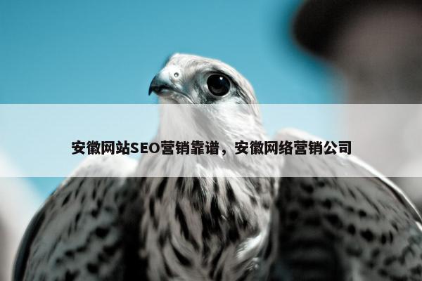 安徽网站SEO营销靠谱，安徽网络营销公司