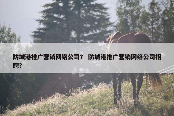 防城港推广营销网络公司？ 防城港推广营销网络公司招聘？