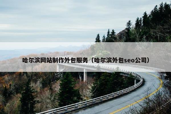 哈尔滨网站制作外包服务（哈尔滨外包seo公司）