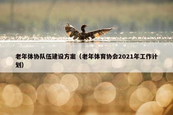 老年体协队伍建设方案（老年体育协会2021年工作计划）