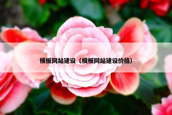 模板网站建设（模板网站建设价格）