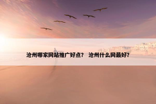 沧州哪家网站推广好点？ 沧州什么网最好？