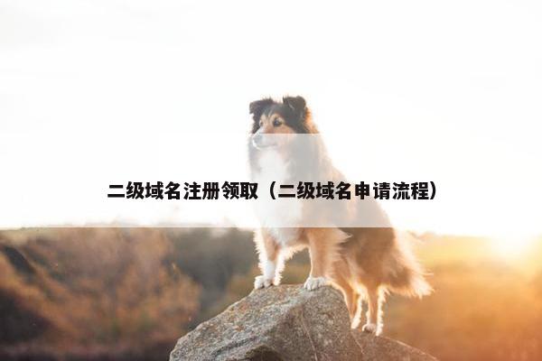 二级域名注册领取（二级域名申请流程）