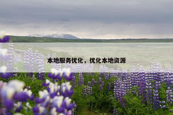 本地服务优化，优化本地资源