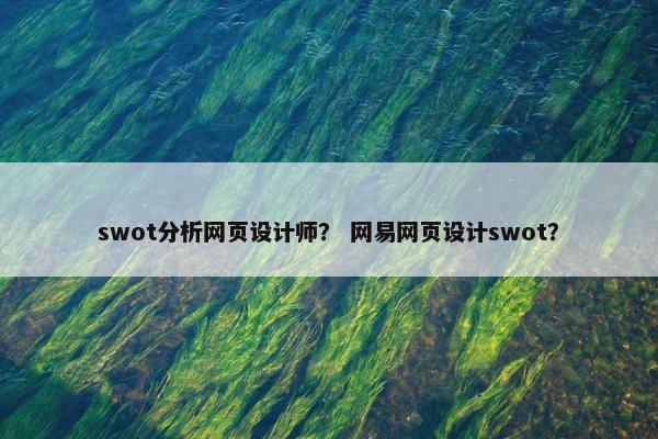 swot分析网页设计师？ 网易网页设计swot？