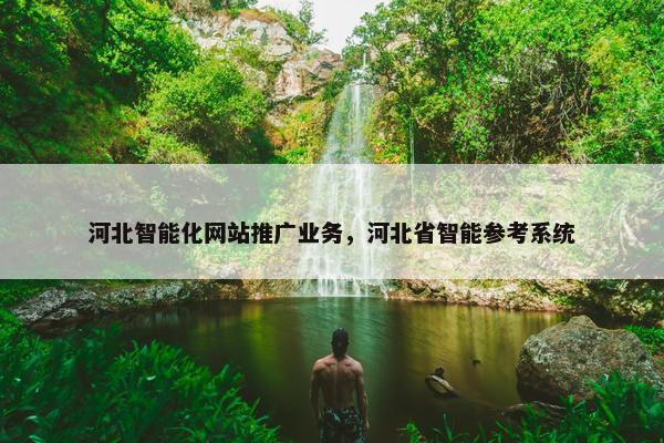 河北智能化网站推广业务，河北省智能参考系统