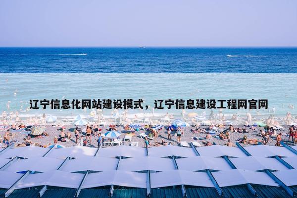 辽宁信息化网站建设模式，辽宁信息建设工程网官网