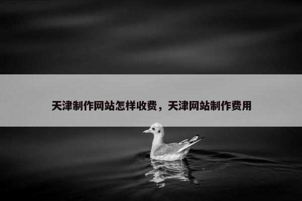 天津制作网站怎样收费，天津网站制作费用