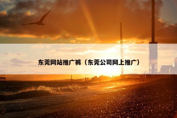 东莞网站推广裤（东莞公司网上推广）