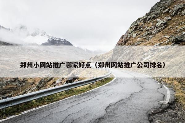 郑州小网站推广哪家好点（郑州网站推广公司排名）