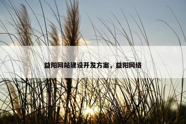 益阳网站建设开发方案，益阳网络