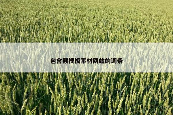 包含颖模板素材网站的词条