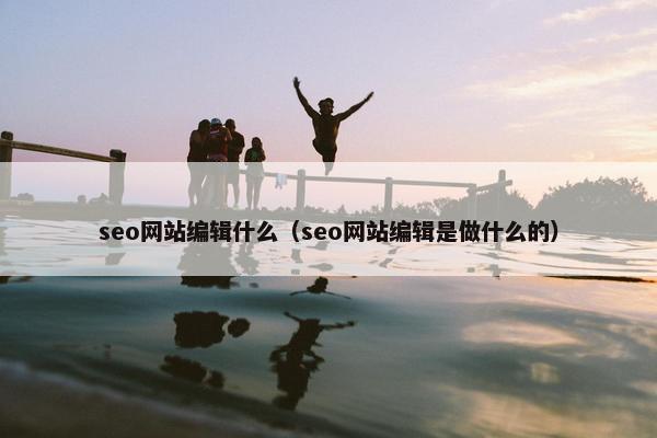 seo网站编辑什么（seo网站编辑是做什么的）