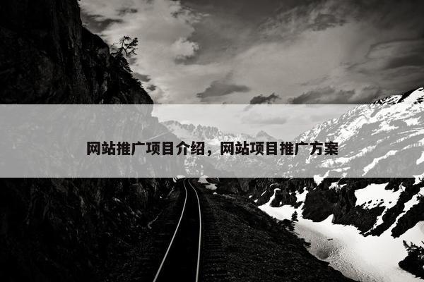 网站推广项目介绍，网站项目推广方案
