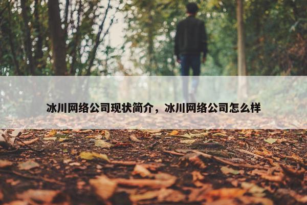 冰川网络公司现状简介，冰川网络公司怎么样