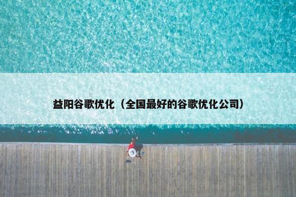 益阳谷歌优化（全国最好的谷歌优化公司）