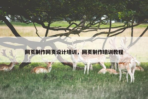 网页制作网页设计培训，网页制作培训教程