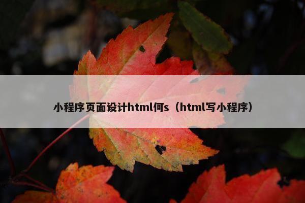 小程序页面设计html何s（html写小程序）