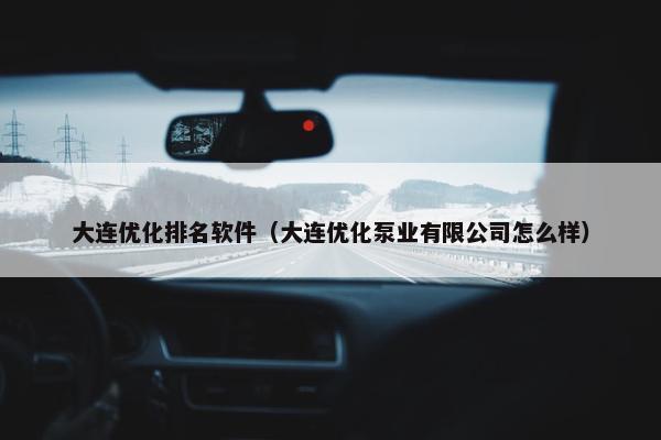 大连优化排名软件（大连优化泵业有限公司怎么样）