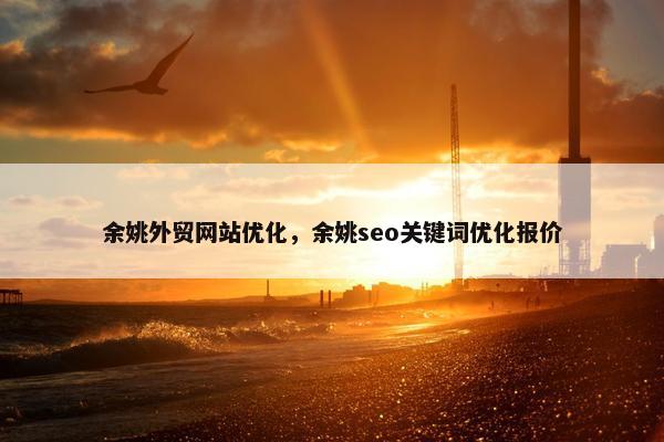余姚外贸网站优化，余姚seo关键词优化报价