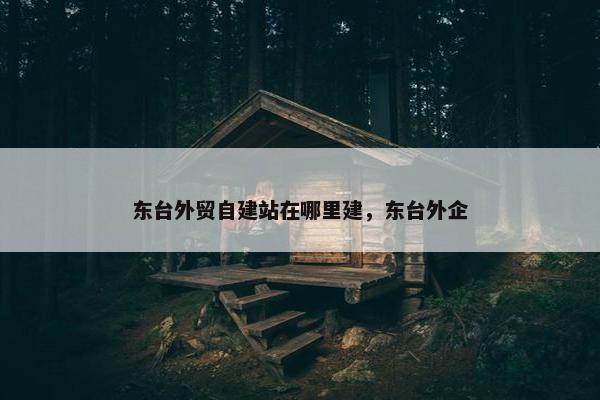 东台外贸自建站在哪里建，东台外企