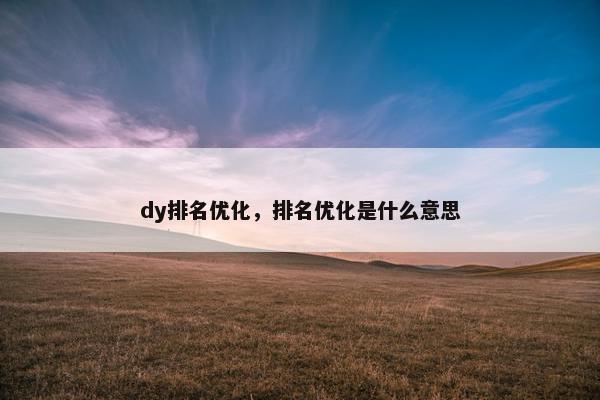 dy排名优化，排名优化是什么意思