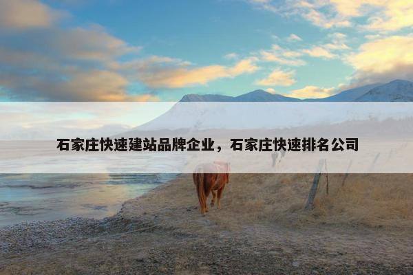 石家庄快速建站品牌企业，石家庄快速排名公司