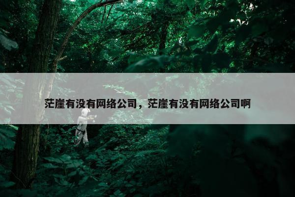 茫崖有没有网络公司，茫崖有没有网络公司啊