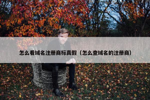 怎么看域名注册商标真假（怎么查域名的注册商）