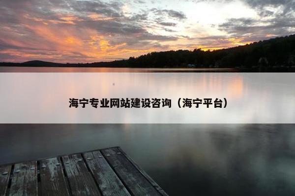海宁专业网站建设咨询（海宁平台）