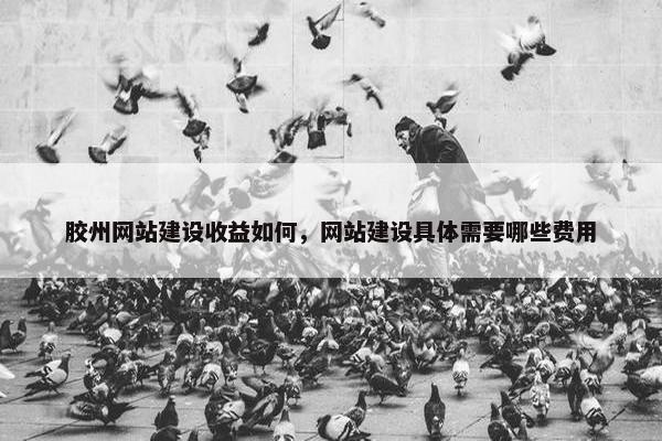 胶州网站建设收益如何，网站建设具体需要哪些费用
