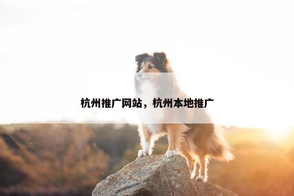 杭州推广网站，杭州本地推广