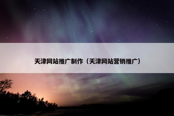 天津网站推广制作（天津网站营销推广）