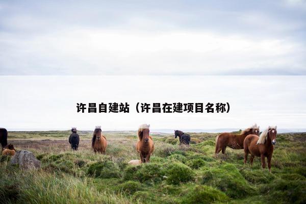 许昌自建站（许昌在建项目名称）