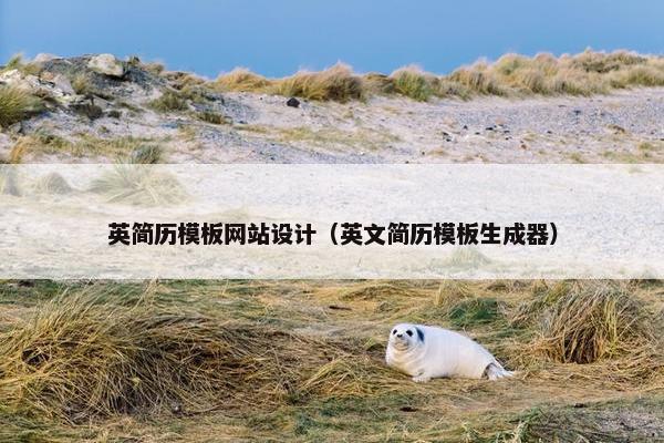 英简历模板网站设计（英文简历模板生成器）