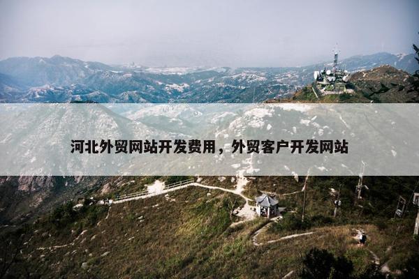 河北外贸网站开发费用，外贸客户开发网站