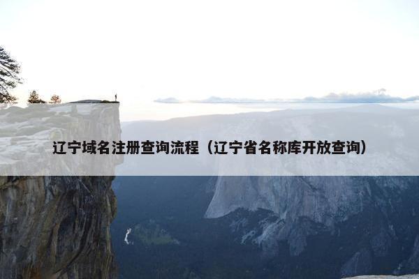 辽宁域名注册查询流程（辽宁省名称库开放查询）